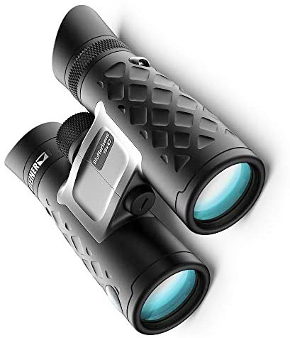 bluhorizons steiner 10x42