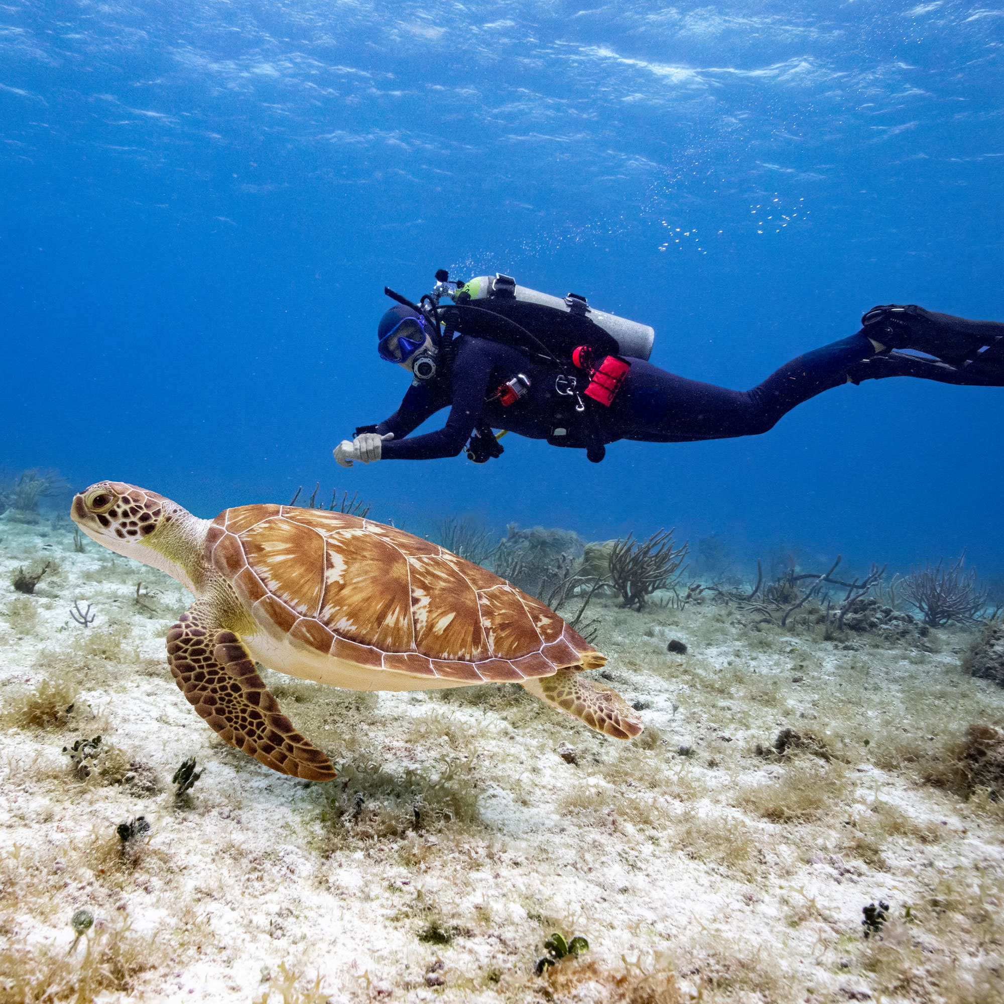 Garmin Descent X30 Dive Computer 2.4-inch Display Multi-Gas GPS