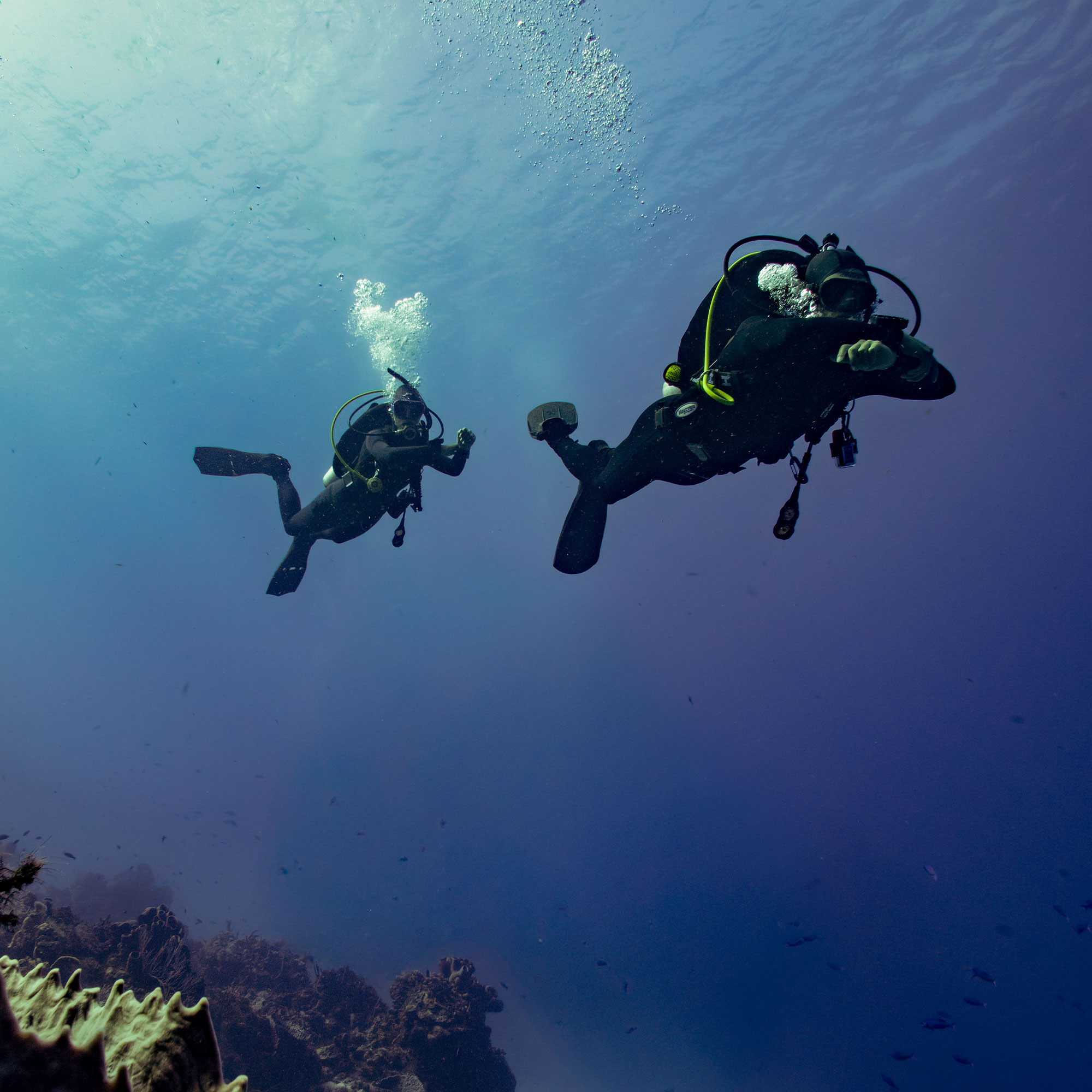 Garmin Descent X30 Dive Computer 2.4-inch Display Multi-Gas GPS