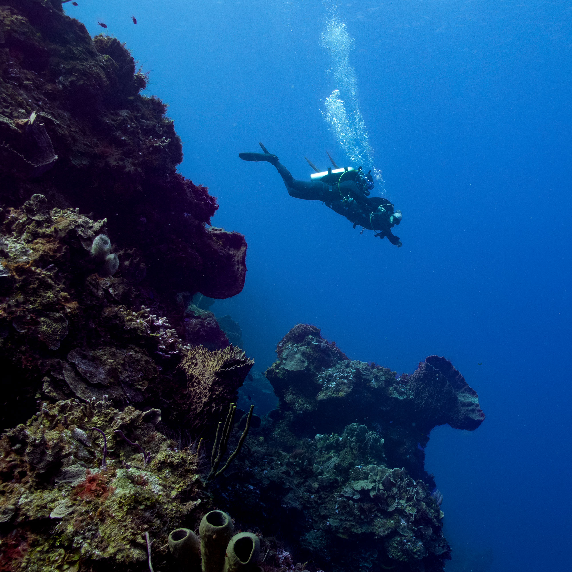 Garmin Descent X30 Dive Computer 2.4-inch Display Multi-Gas GPS