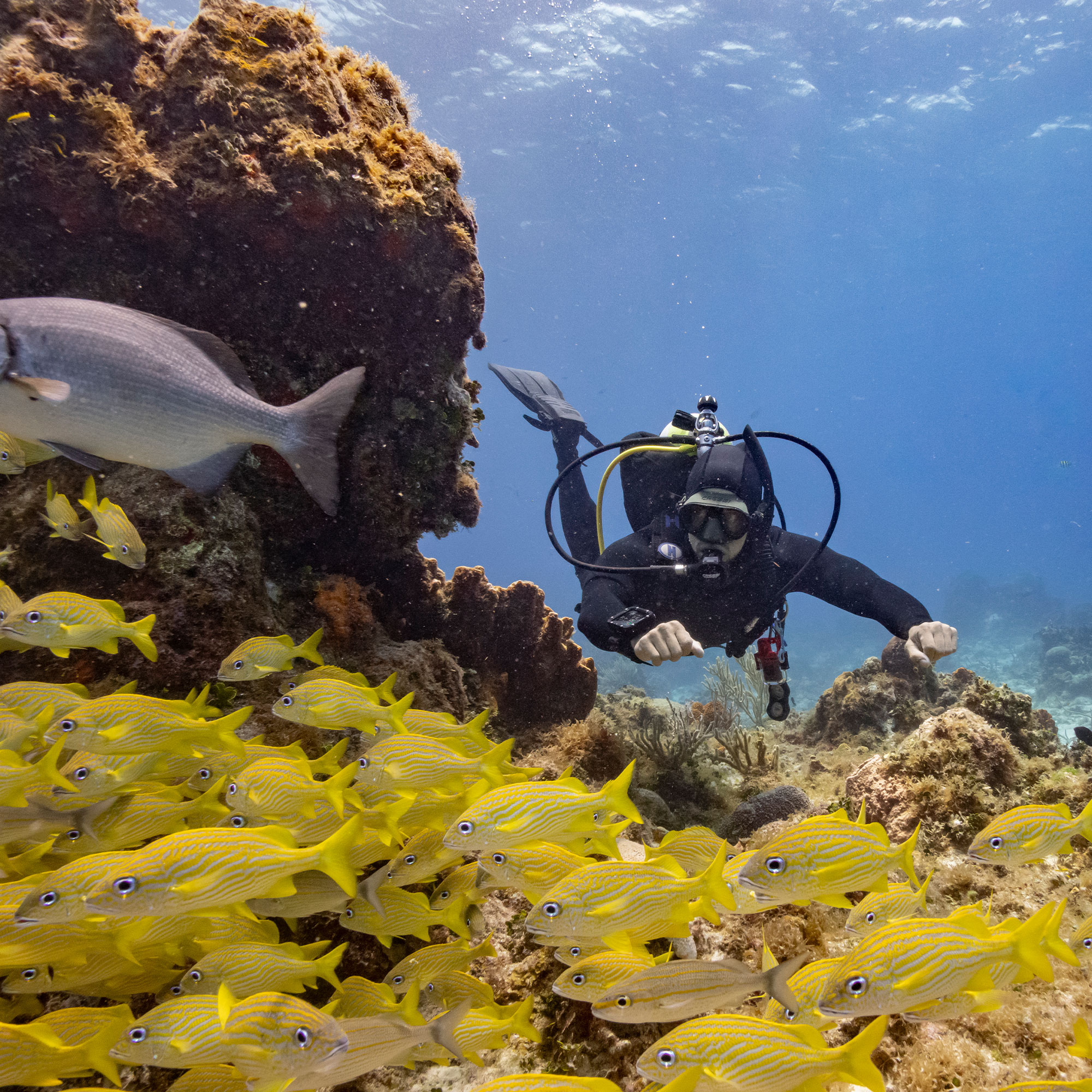 Garmin Descent X30 Dive Computer 2.4-inch Display Multi-Gas GPS